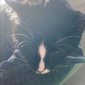 Meet your Posher, John